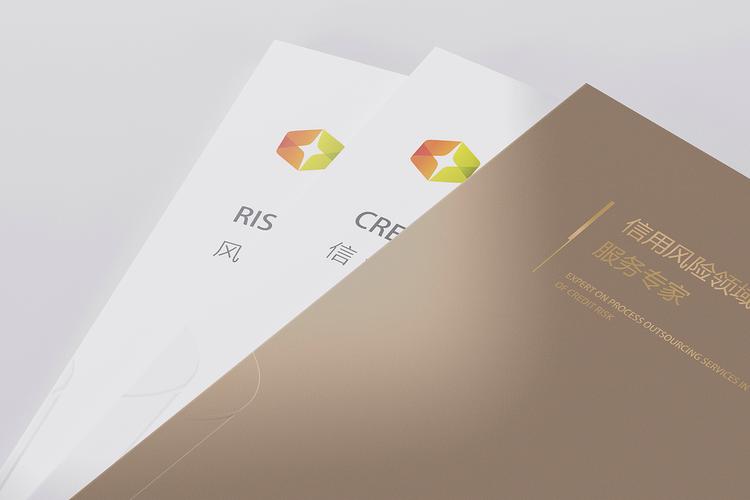 深圳市金融聯信息咨詢畫冊&產品畫冊